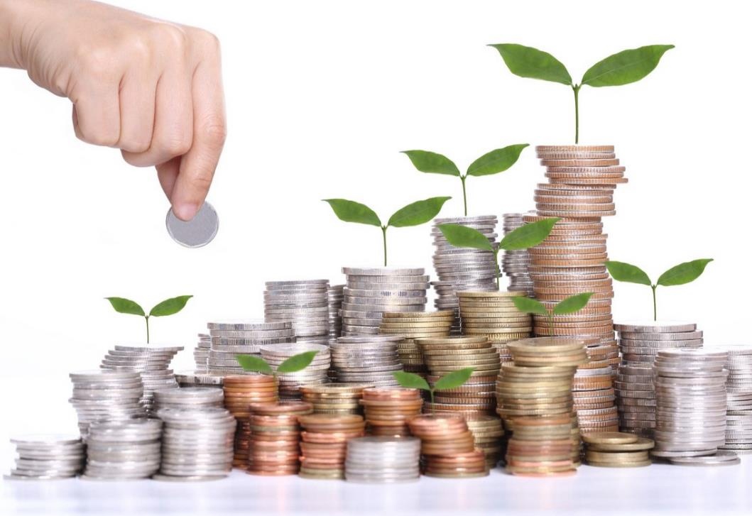 ما هي ريادة الأعمال الخضراء وأهم أهدافها 4 ريادة الأعمال الخضراء
