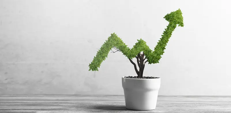 كم تبلغ رسوم وديعة الكوثر في بيت التمويل الكويتي 2023 3 رسوم وديعة الكوثر