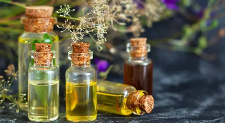 زيوت لتكثيف الشعر ومنع التساقط للرجال والنساء 2 زيوت لتكثيف الشعر