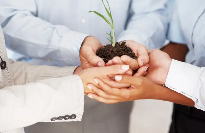 التمويل الأصغر (Microfinance)