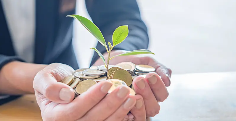 ما هو التمويل الأصغر للمشاريع العائلية وما هي أهدافه؟ 3 التمويل الأصغر للمشاريع العائلية