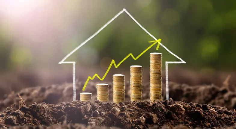 بعض الأفكار لمشاريع زراعية صغيرة مربحة 2 مشاريع زراعية صغيرة مربحة