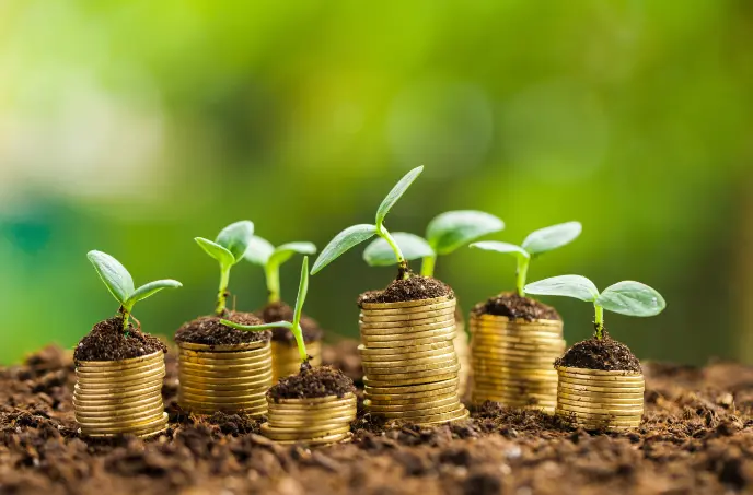 بعض الأفكار لمشاريع زراعية صغيرة مربحة 3 مشاريع زراعية صغيرة مربحة