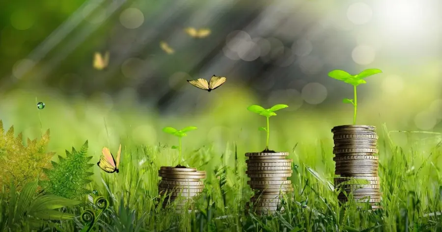 دليلك الكامل حول التجارة الخضراء: أهم الاتجاهات والاستراتيجيات التي يمكنك اتباعها 2 التجارة الخضراء