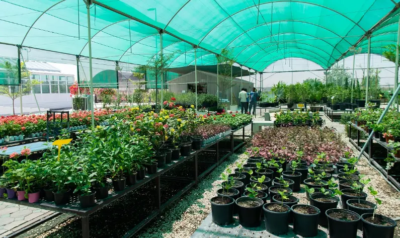فتح مشاريع المشاتل أونلاين | دليلك خطوة بخطوة 2 مشاريع المشاتل أونلاين