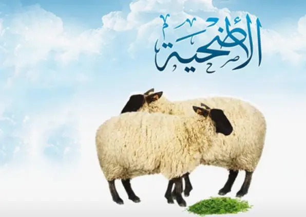 موضوع تعبير عن خروف العيد كامل العناصر 2 موضوع تعبير عن خروف العيد كامل