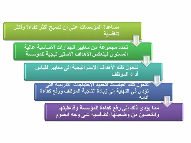 مصفوفة الجدارات: الخطوات ونموذج عملي لها والأهمية 3 مصفوفة الجدارات