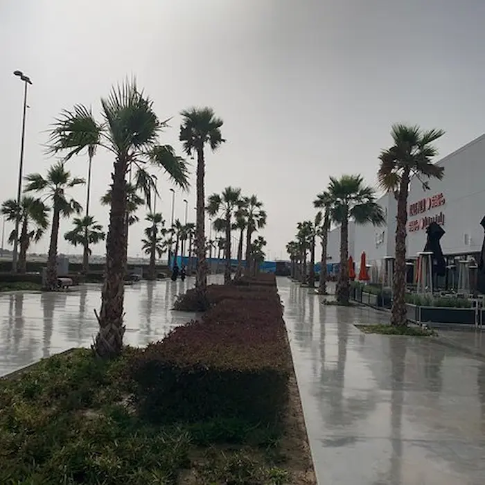 العد التنازلي للبرد في الكويت 2 العد التنازلي للبرد في الكويت