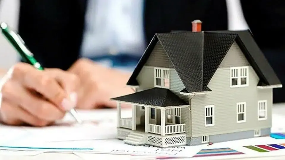 فكرة مشروع مربح بميزانية 100 دولار فقط 4 فكرة مشروع مربح بميزانية 100 دولار