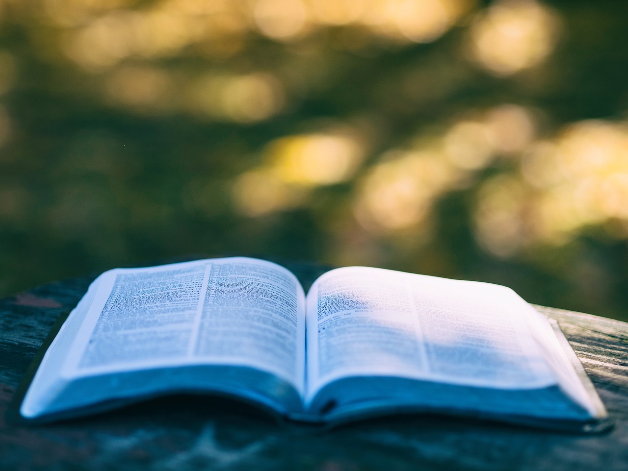 تحليل نص صفحة 19 من كتاب “في رحاب الفلسفة” للكاتب آلان