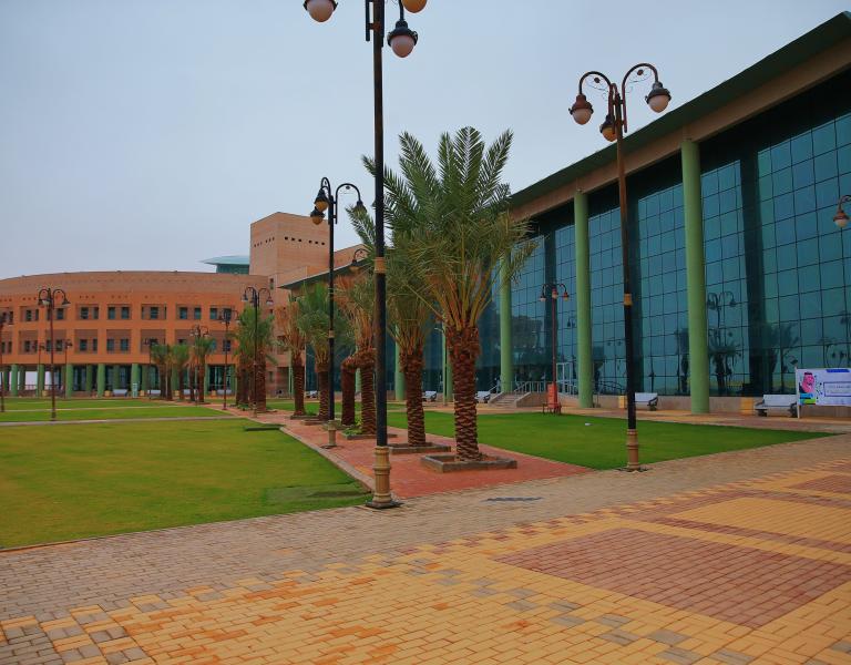 كيفية الاستعلام عن نتائج القبول في جامعة الحدود الشمالية لعام 1446 4 الاستعلام عن نتائج القبول في جامعة الحدود الشمالية