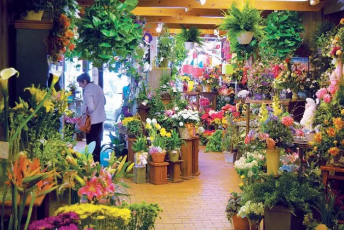 دراسة جدوى مشروع محل ورد 3 دراسة جدوى مشروع محل ورد