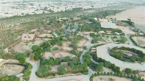 ما هي أوقات عمل الغابة الصغيرة الكويت 2025